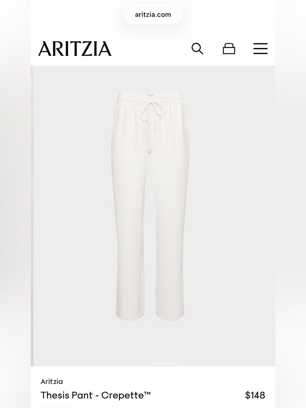 Aritzia thesis pants